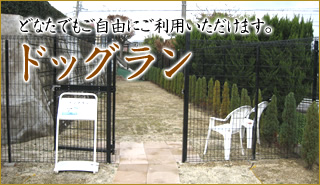 ドッグラン