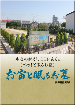 お宙と眠るお墓